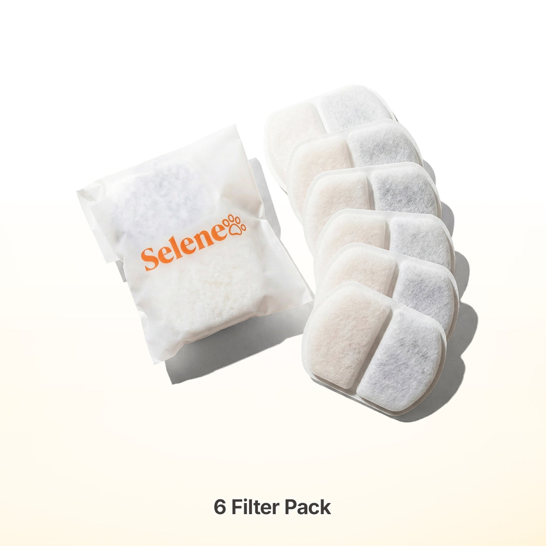 3-Month Supply • 6 Filters