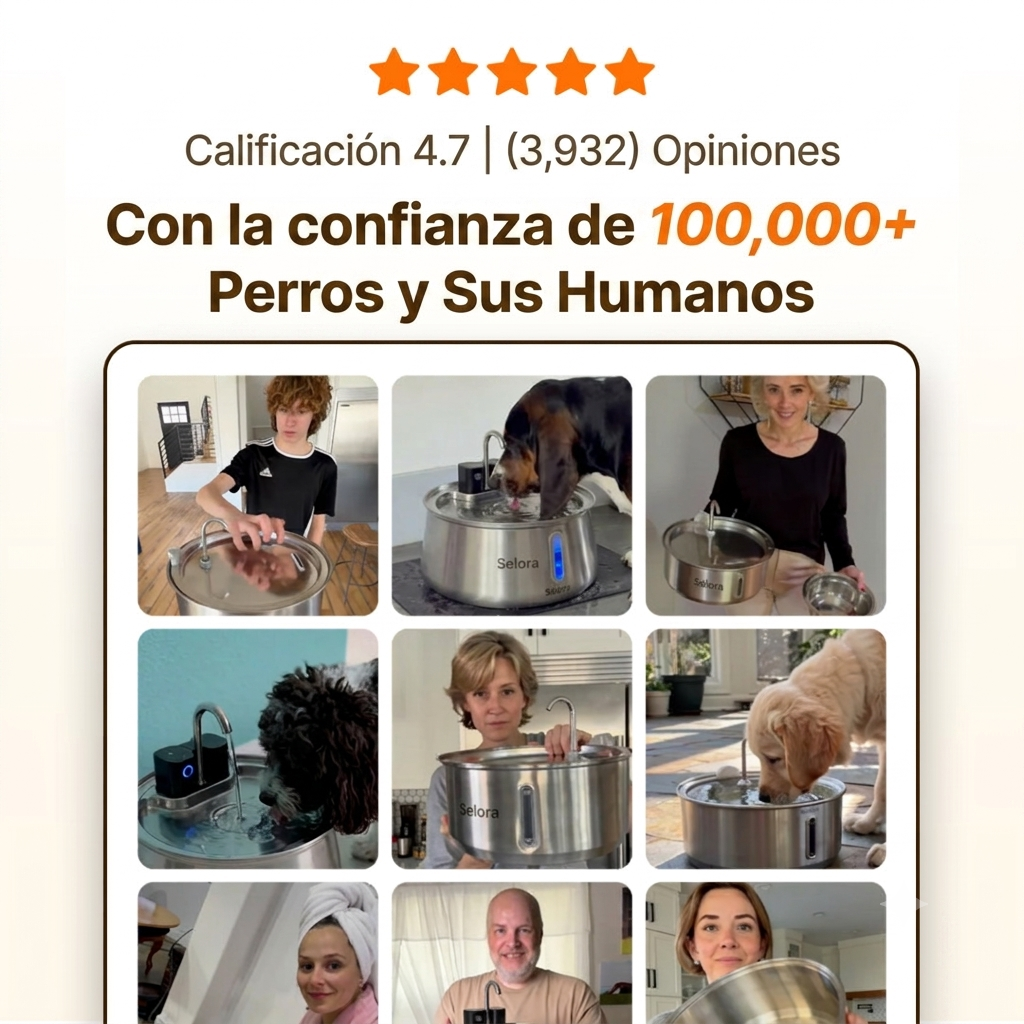 La Fuente para Perros - Conjunto Completo