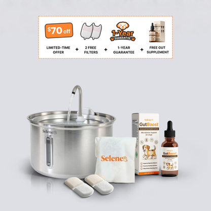 El Paquete de Salud Digestiva