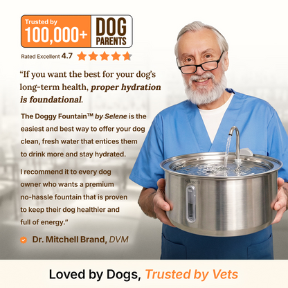 La Fuente para Perros™