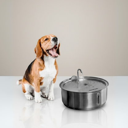 La Fuente para Perros™
