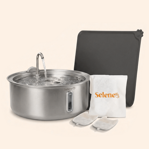 Doggy Fountain™ - The Starter Kit