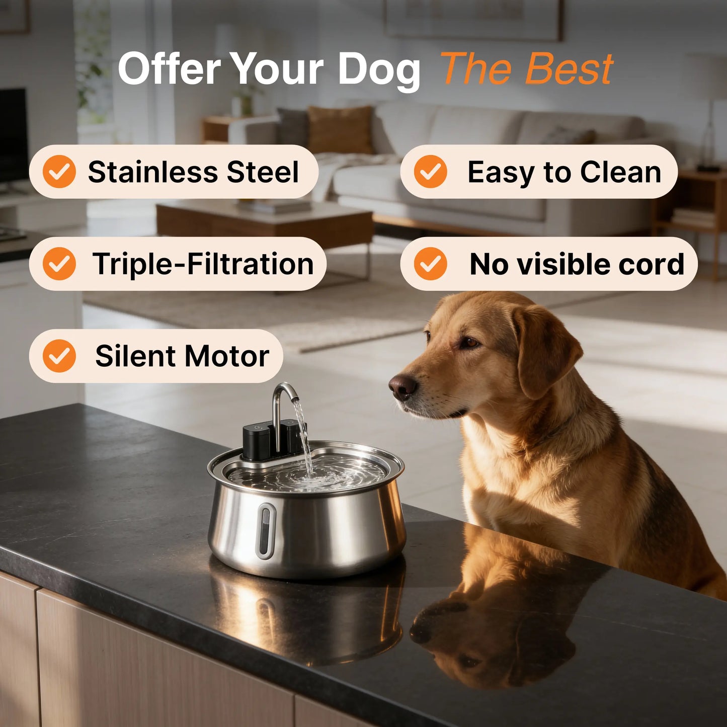 The Doggy Fountain™