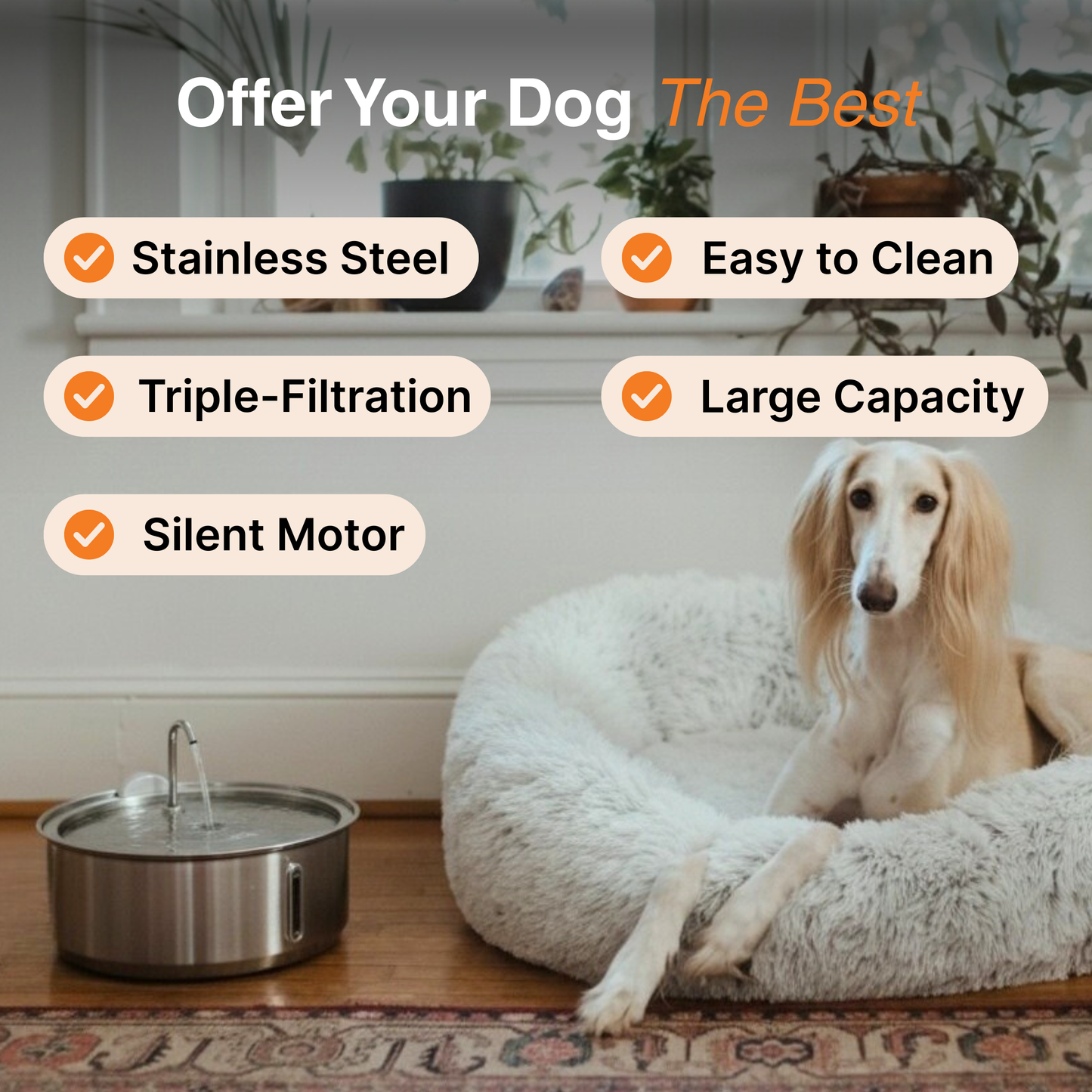 La Fuente para Perros™