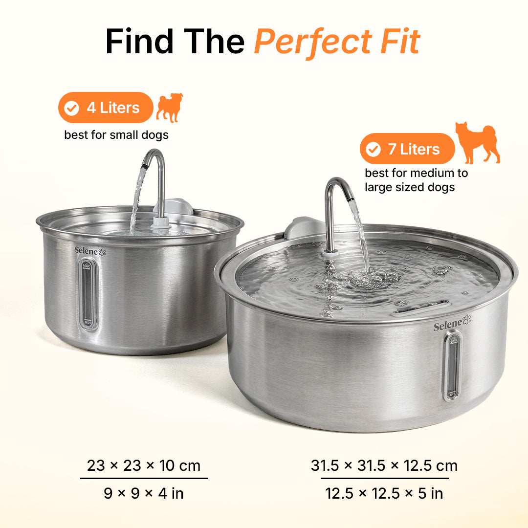 La Fuente para Perros™