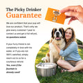 The Doggy Fountain™