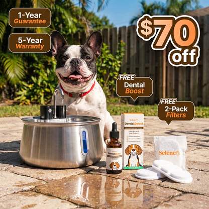 The Doggy Fountain™ Health Bundle