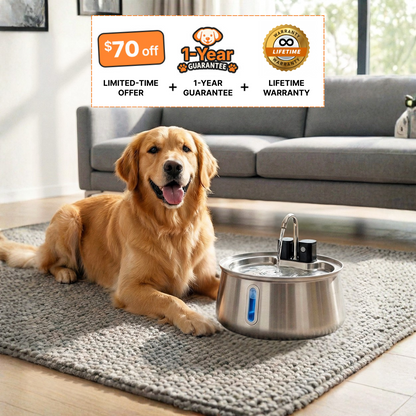 The Doggy Fountain™