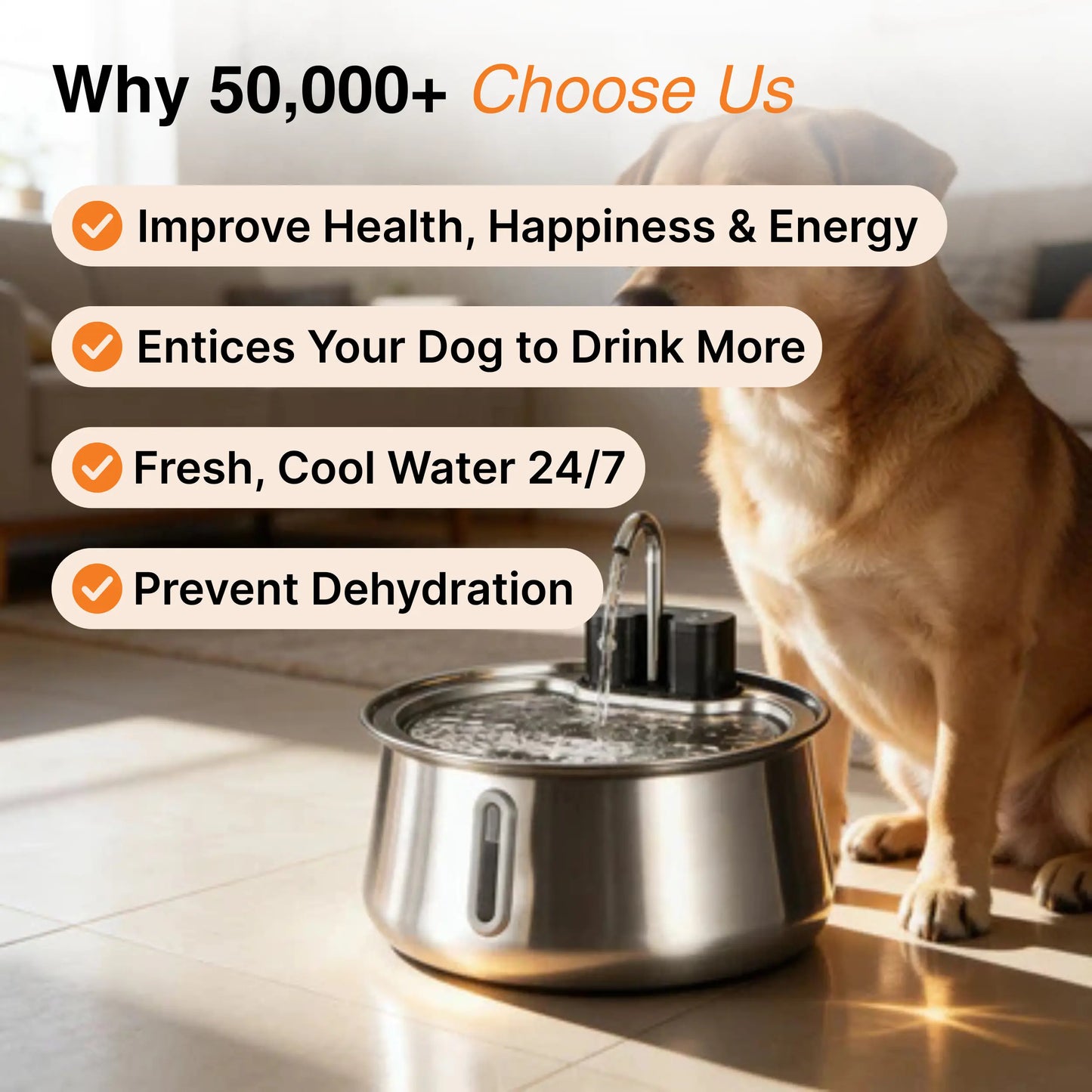 The Doggy Fountain™