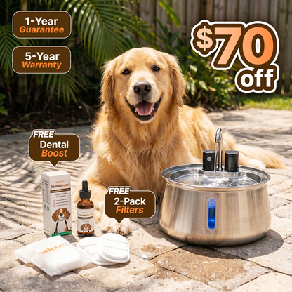 The Doggy Fountain™ Health Bundle