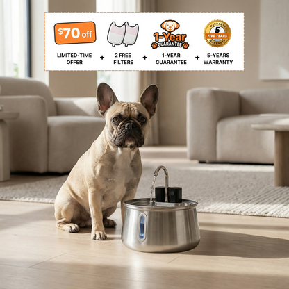 The Doggy Fountain™