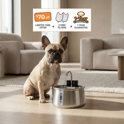 La Fuente para Perros™