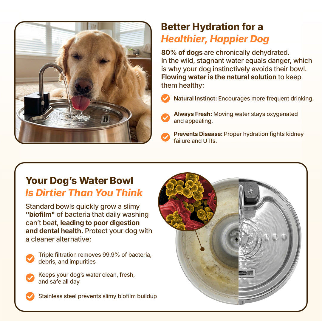 The Doggy Fountain™