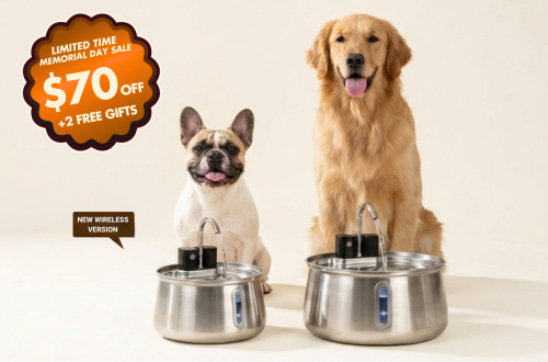 Selene Pet Fountain with dogs