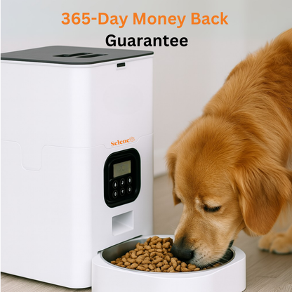 Comedero Automático para Perros