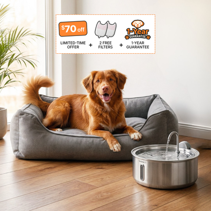 La Fuente para Perros™