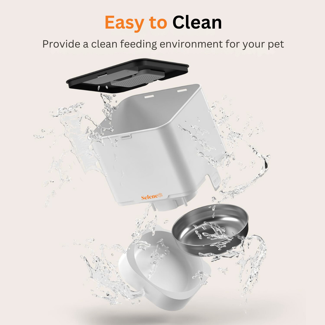 Comedero Automático para Perros