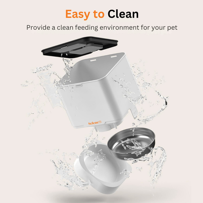 Comedero Automático para Perros