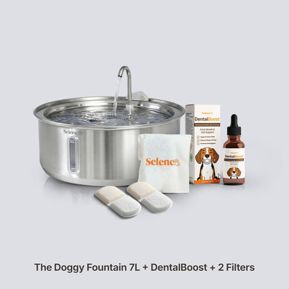 The Fresh Breath Bundle