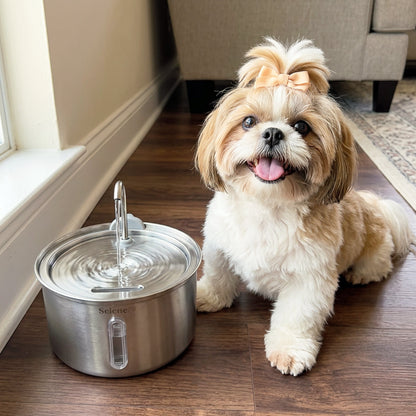 The Doggy Fountain™