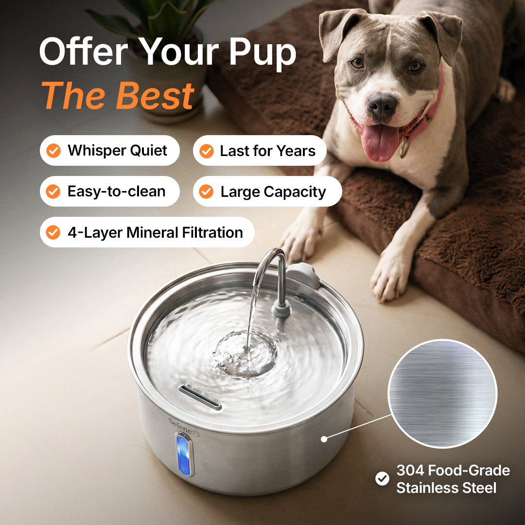La Fuente para Perros™
