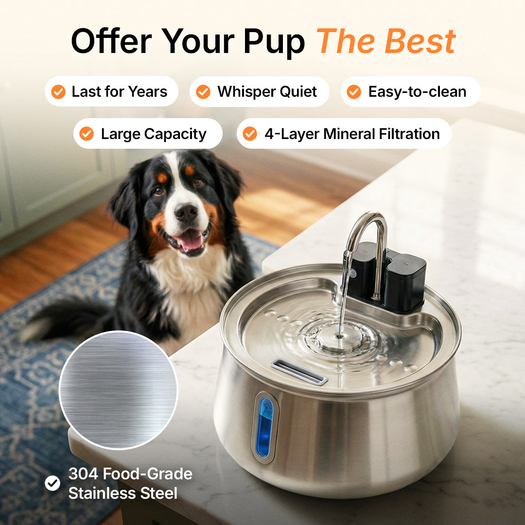 Wireless Fountain™ - The Twin Bundle