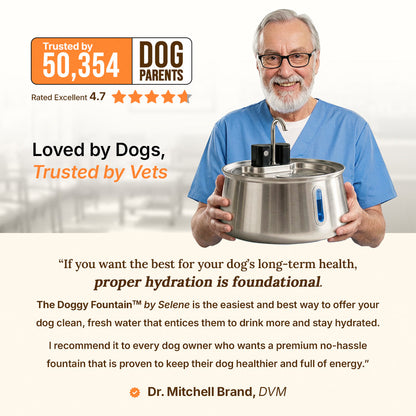 La Fuente para Perros™
