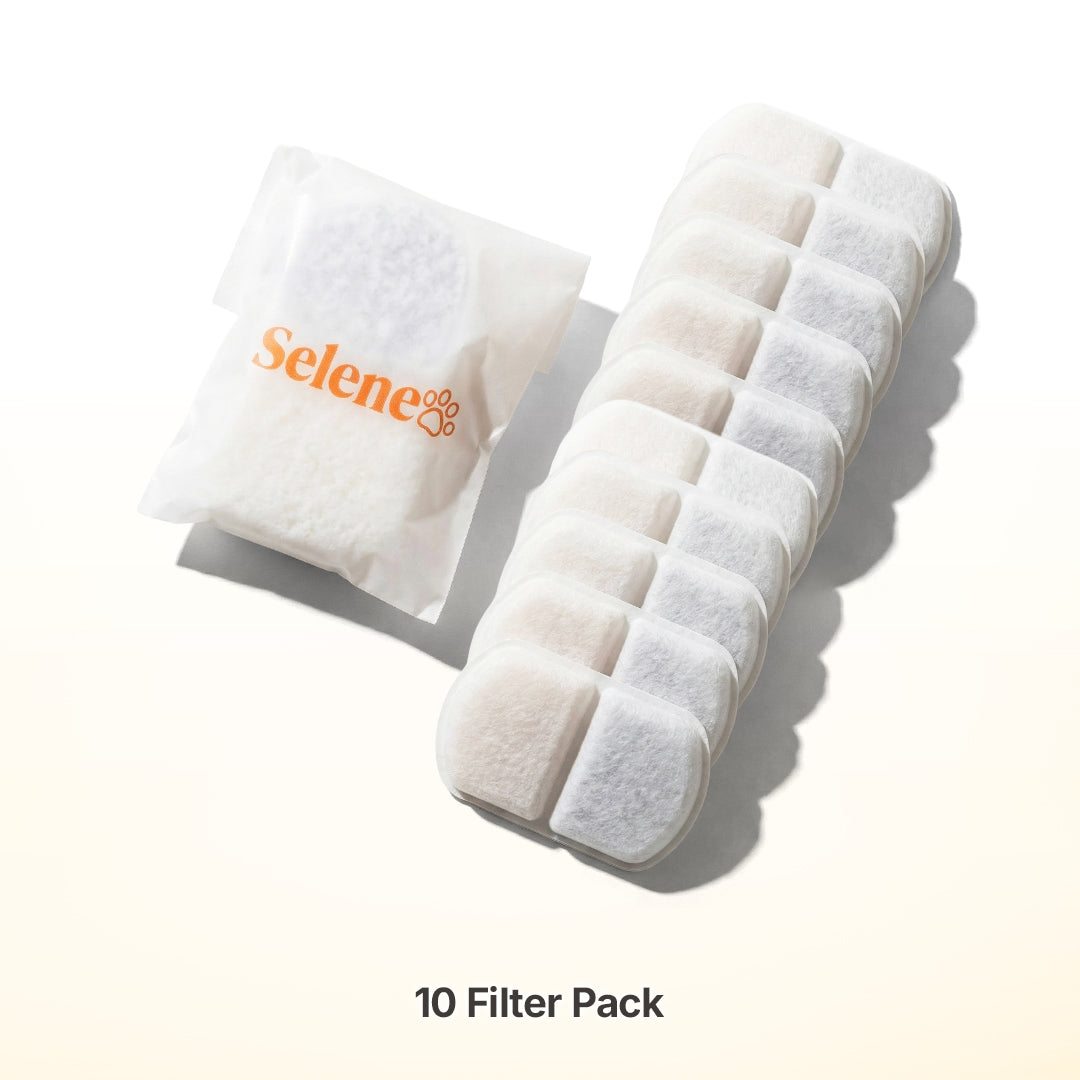 5-Month Supply • 10 Filters
