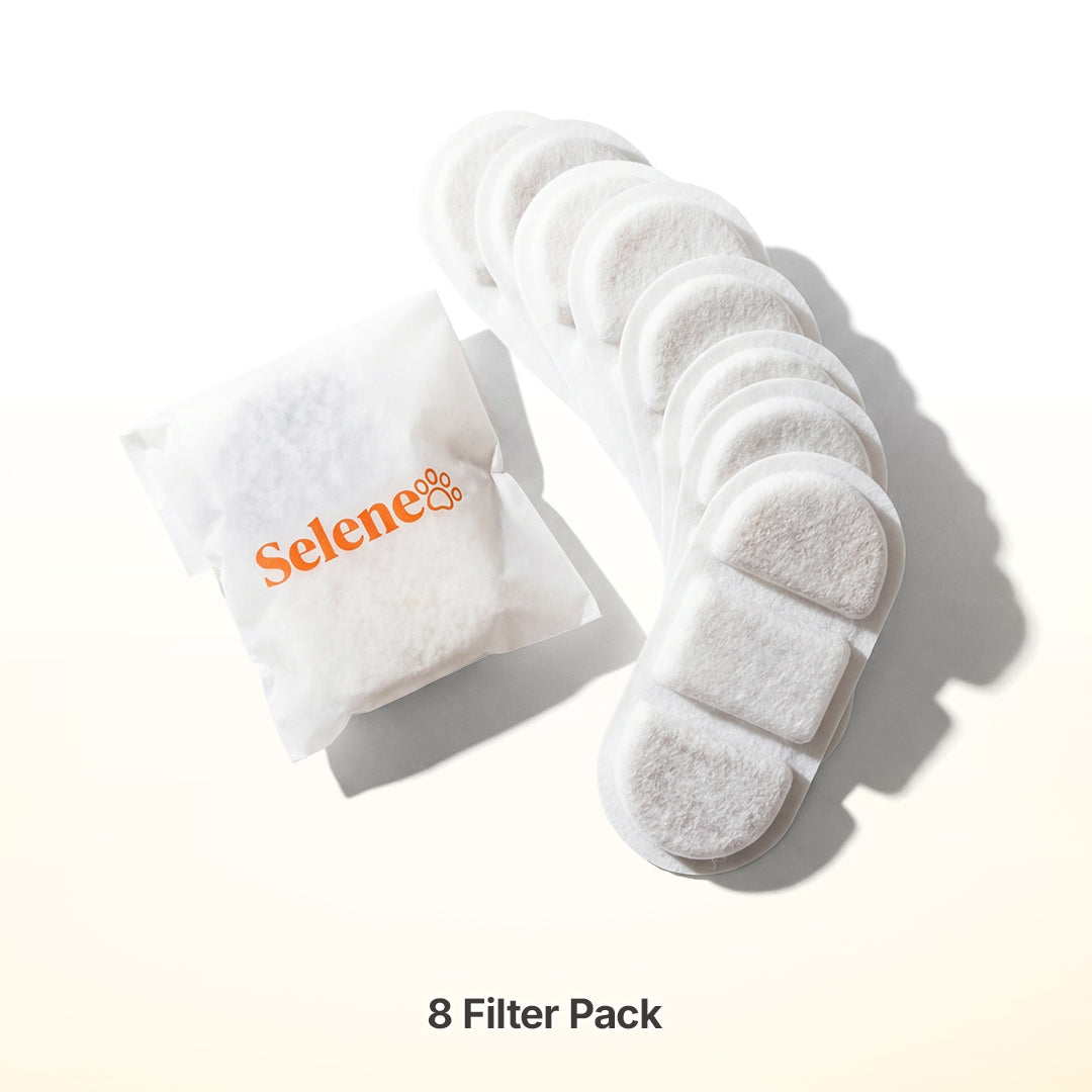 Filtros para Fuentes de Enchufe