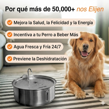 Fuente para Perros™ - El Paquete Doble