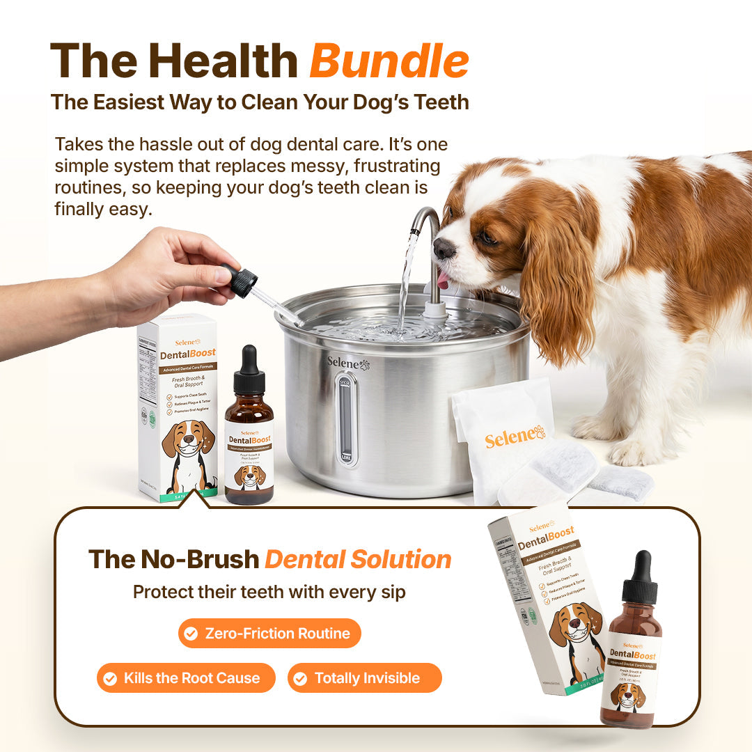 El Paquete de Salud de la Fuente para Perros™