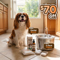 The Doggy Fountain™