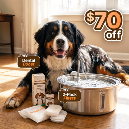 La Fuente para Perros™