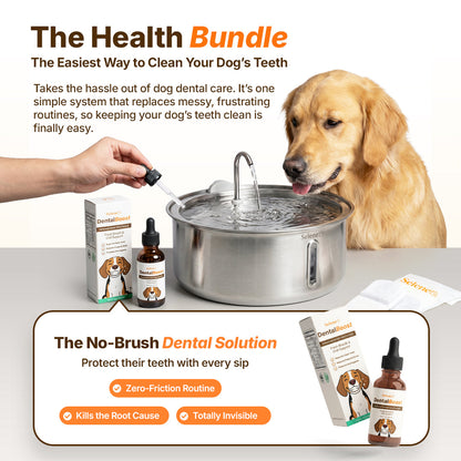 The Doggy Fountain™ Health Bundle