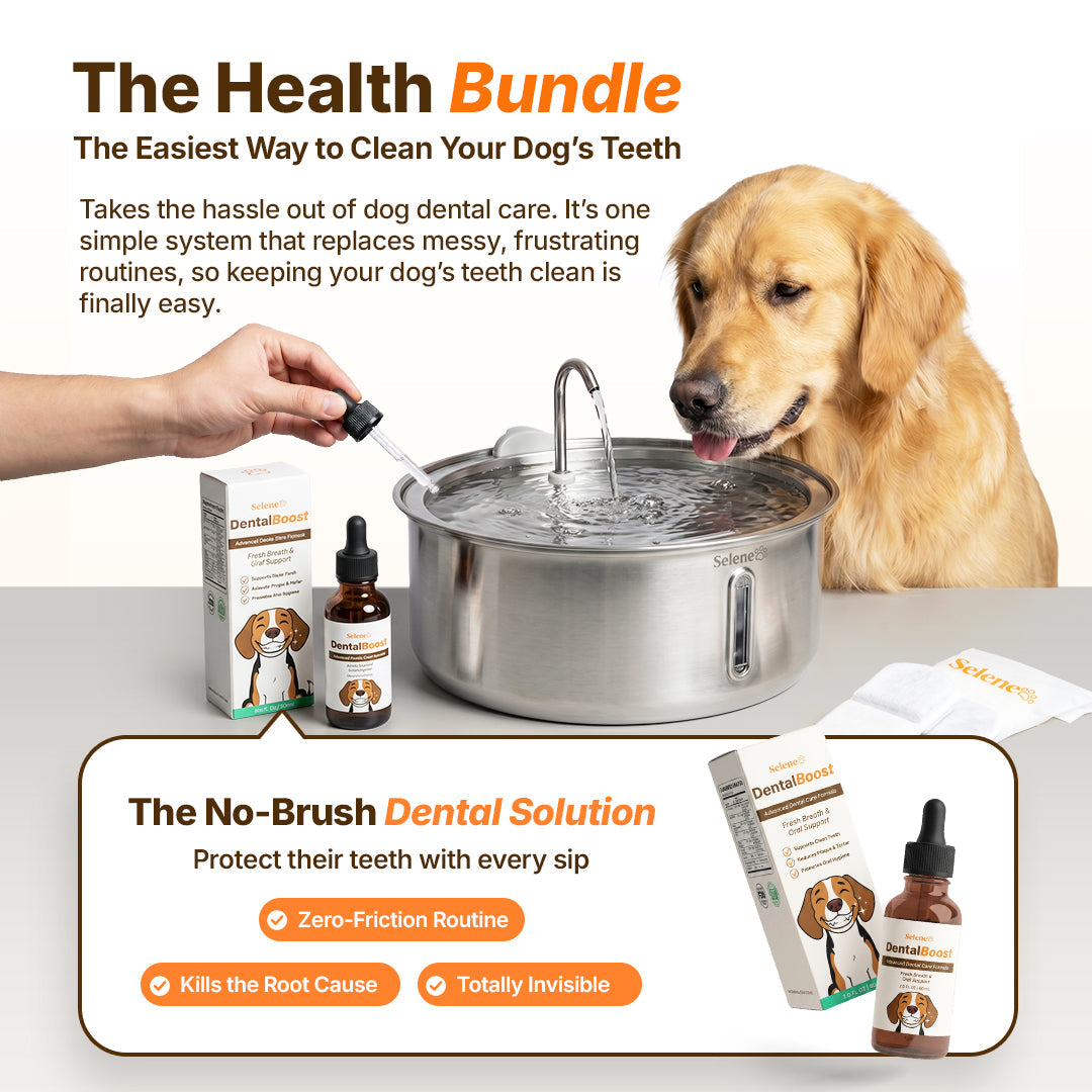 The Doggy Fountain™ Health Bundle