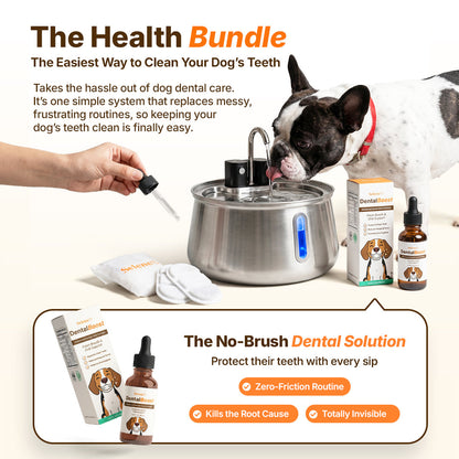 La Fuente para Perros™