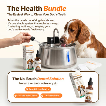 The Doggy Fountain™ Health Bundle