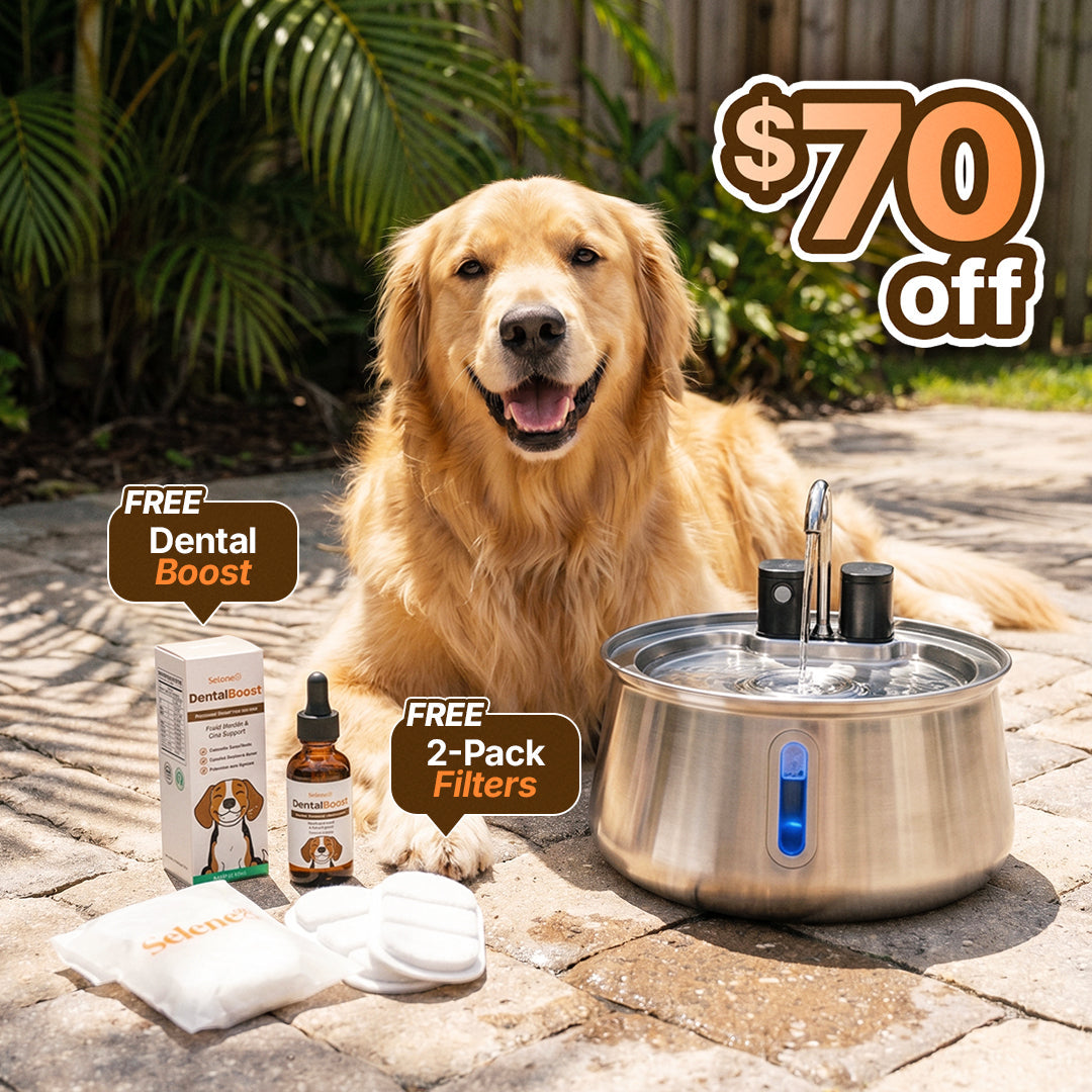 La Fuente para Perros™