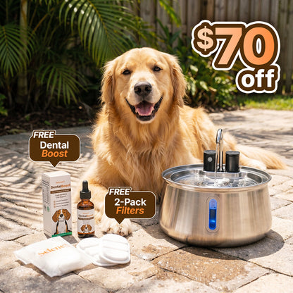La Fuente para Perros™