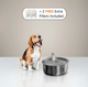The Doggy Fountain™