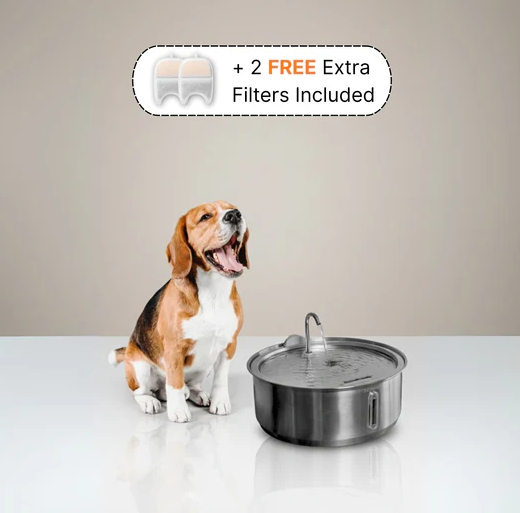 La Fuente para Perros ™