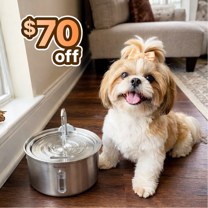 La Fuente para Perros™