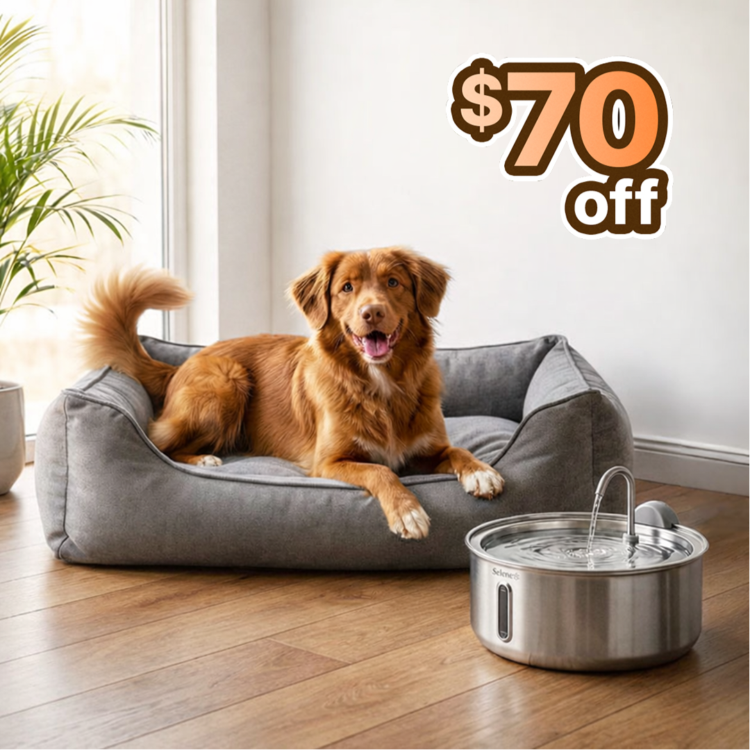 La Fuente para Perros™