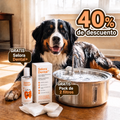 40% descuento editada