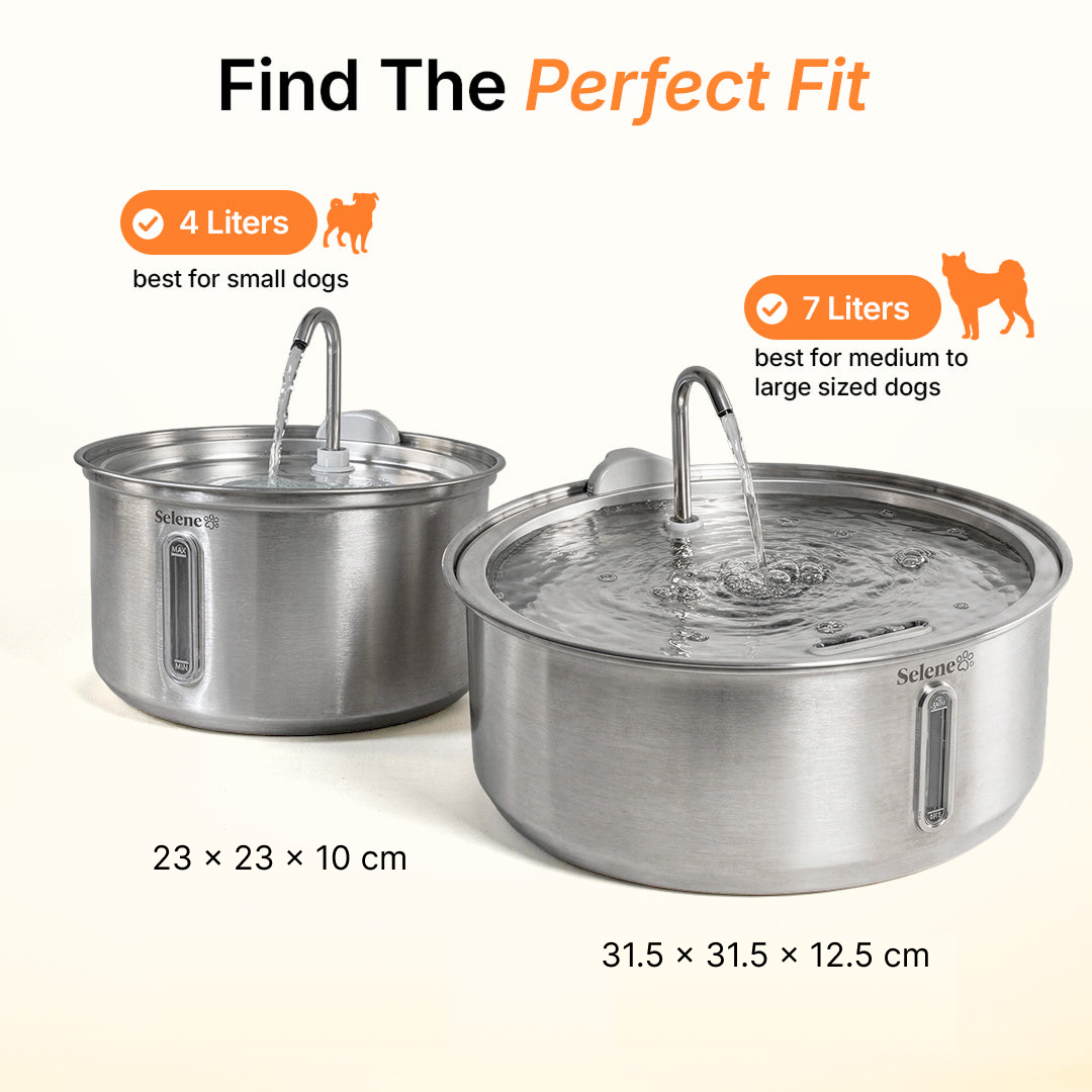 La Fuente para Perros™